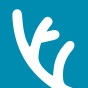 MVT